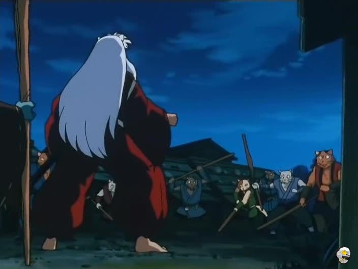 inu76_071.jpg