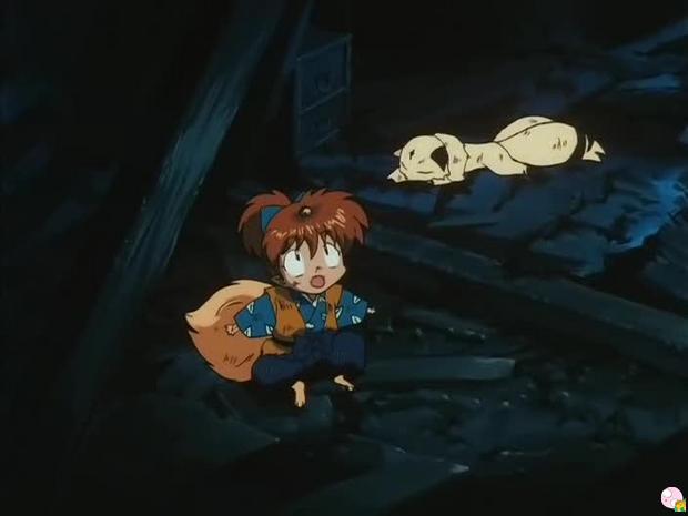 inu77_002.jpg