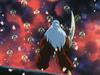 inu77_007.jpg