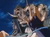 inu77_063.jpg