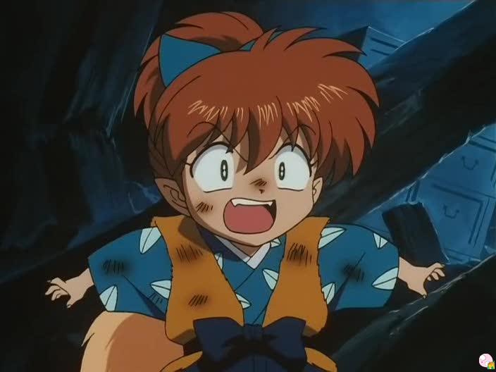 inu77_001.jpg