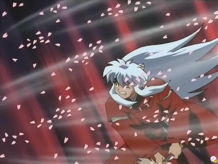 inu77_042.jpg