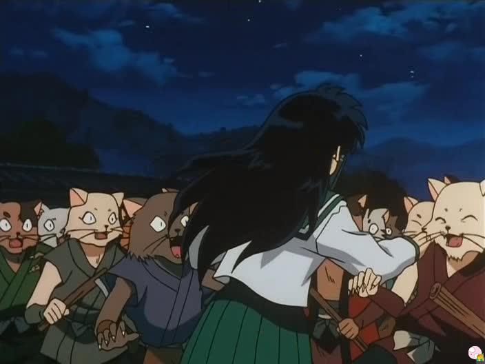 inu77_096.jpg