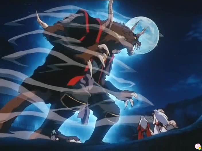 inu77_133.jpg