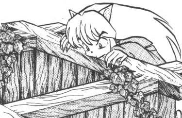 inu39.jpg