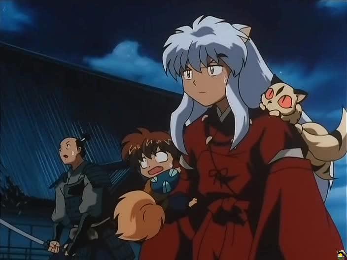 inu_78_35.jpg