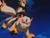 inu_79__38_.png