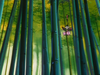 inu_79__07a_.png