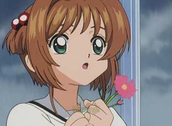 ccs_33