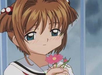 ccs_37