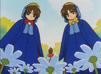 ccs_48