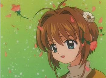 ccs_65