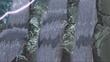 movie2_101657.jpg
