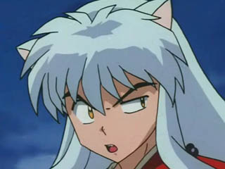 inu02.jpg