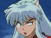 inu02.jpg