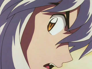 inu11.jpg