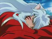 inu-06.jpg