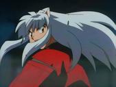 inu-18.jpg