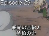 29