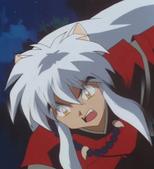 inu1.jpg