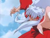 inuyou-01.jpg