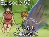 55