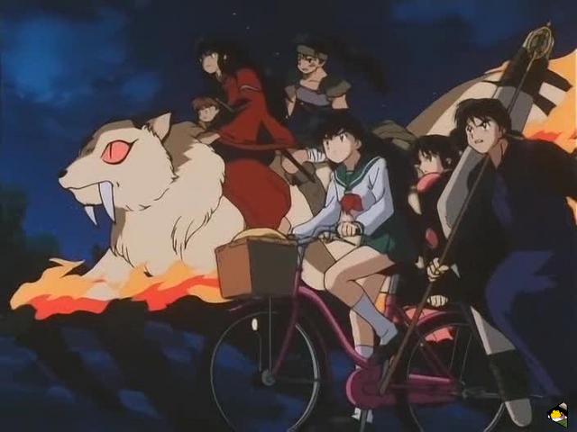 inu_6731.jpg