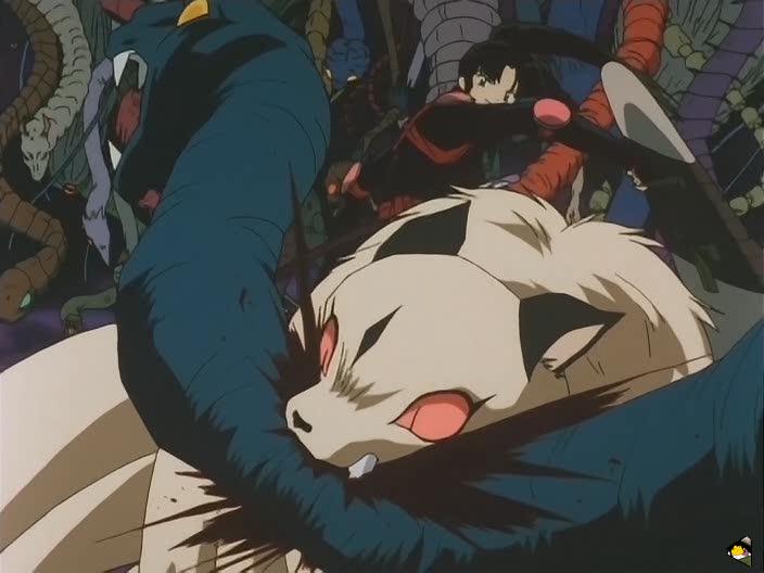 inu_6753.jpg