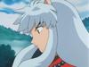 inu70_00158.jpg