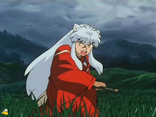 inu70_00514.jpg