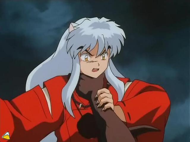 inu71_081.jpg