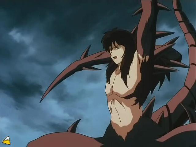inu71_087.jpg
