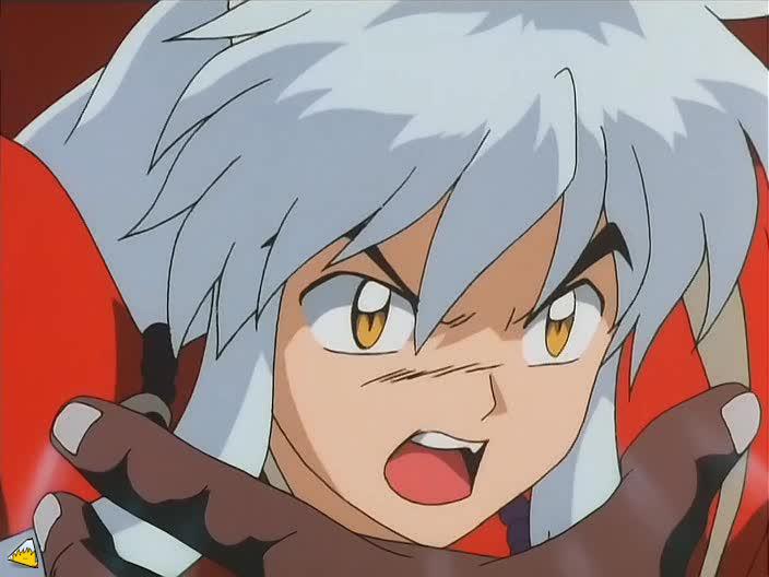 inu71_042.jpg