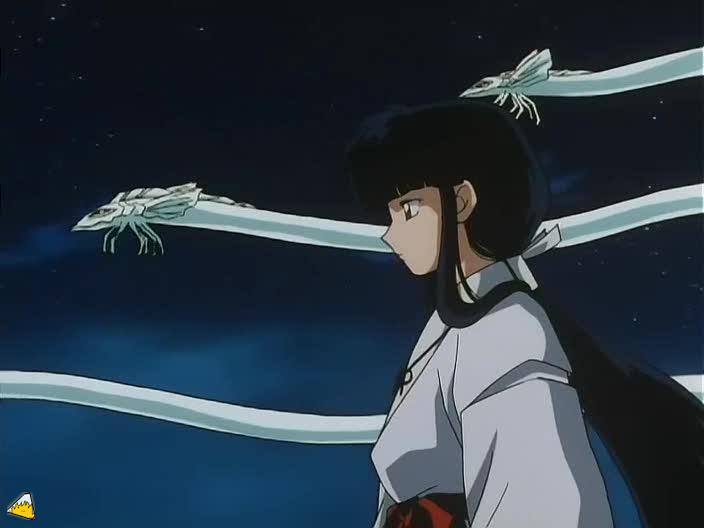 inu71_736.jpg