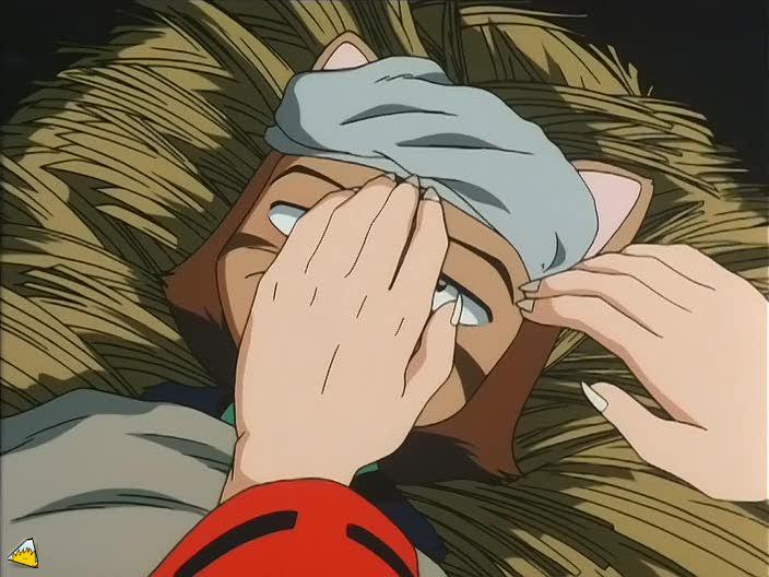 inu72_00365.jpg