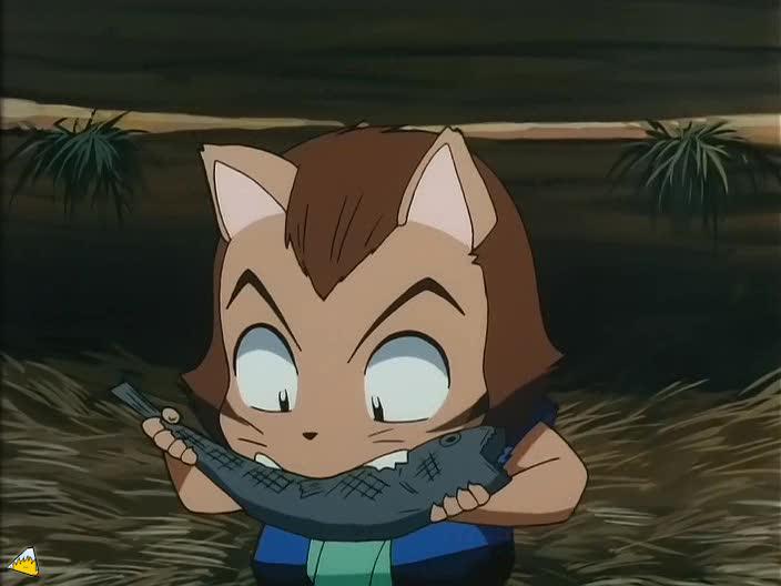 inu72_00492.jpg