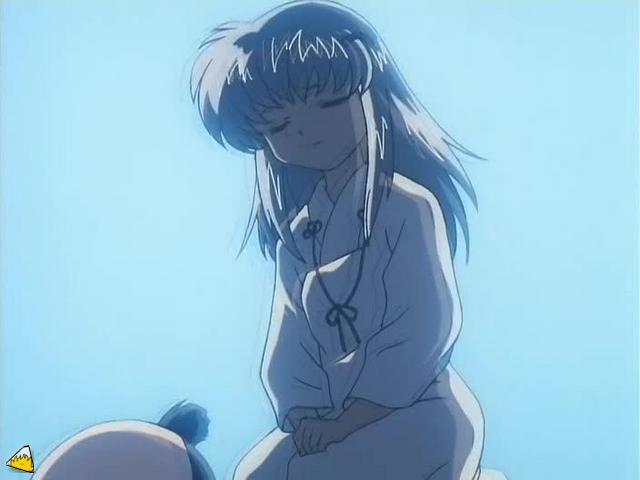 inu73- _2_.jpg