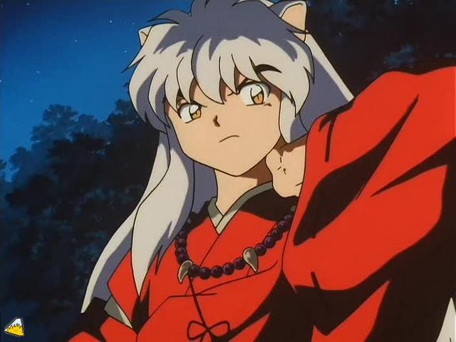 inu73- _30_.jpg