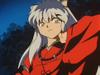 inu73- _30_.jpg