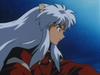 inu73- _101_.jpg