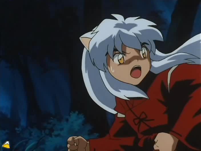inu73- _78_.jpg