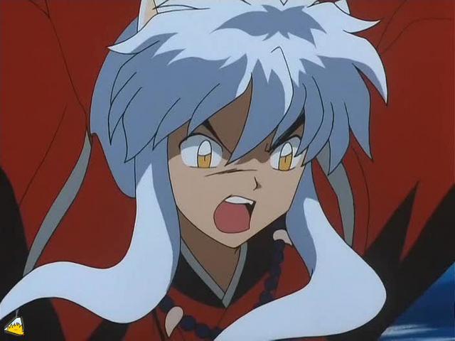 0084Inu.jpg