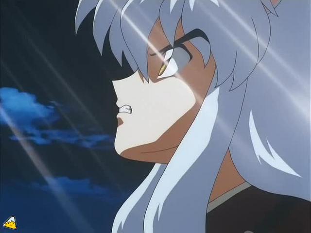 0131Inu.jpg
