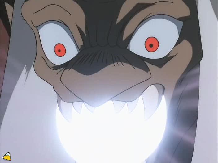 0081Inu.jpg