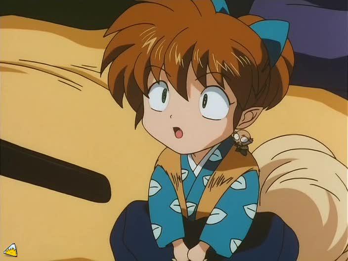 0195Inu.jpg