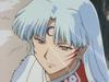 inu75_063.jpg
