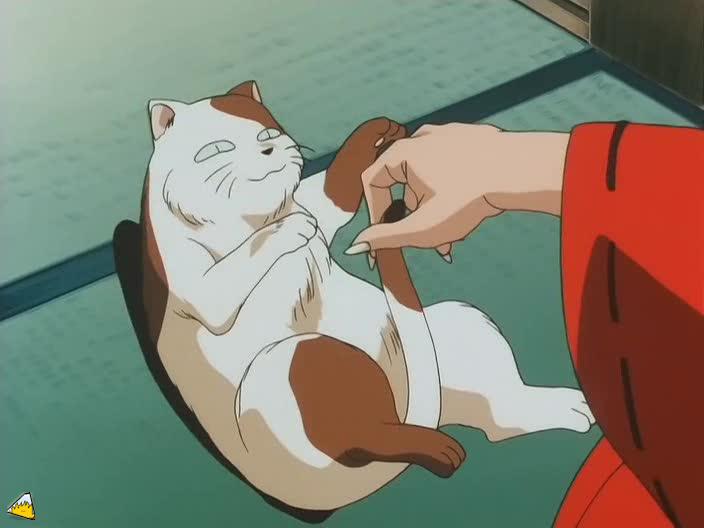 inu75_020.jpg