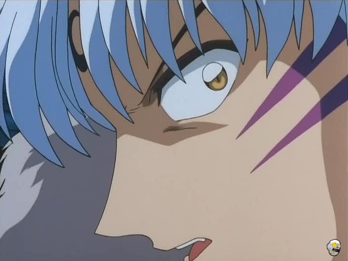 inu76_028.jpg