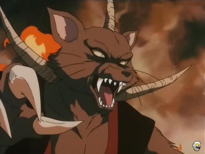inu76_036.jpg