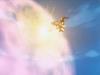 inu77_057.jpg